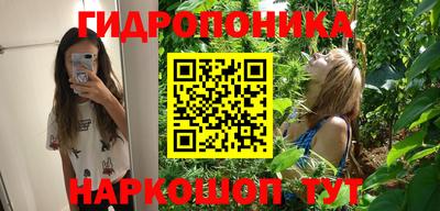 прущие крисы Гай